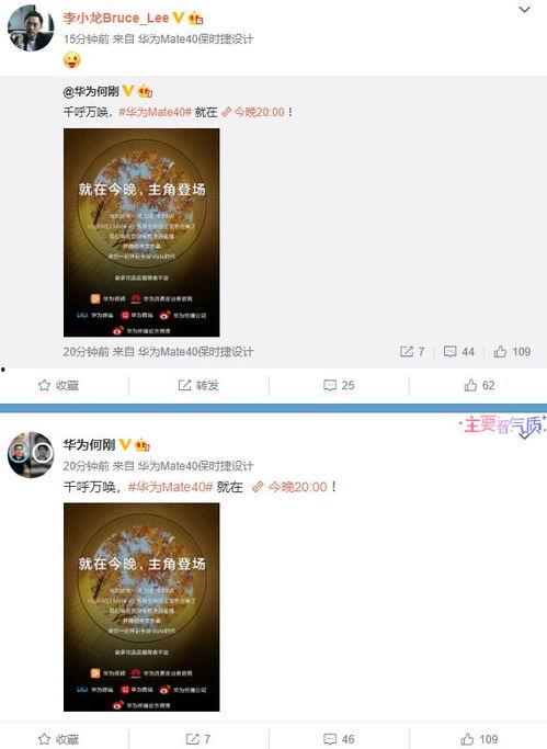 爆料老六视频大全最新网站,热门内容一网打尽